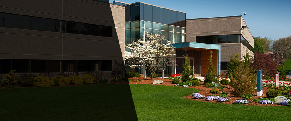 Dorr Landscapers