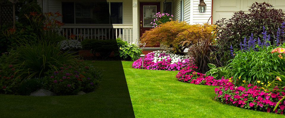 Dorr Landscapers