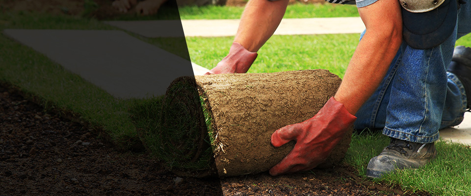 Dorr Landscapers